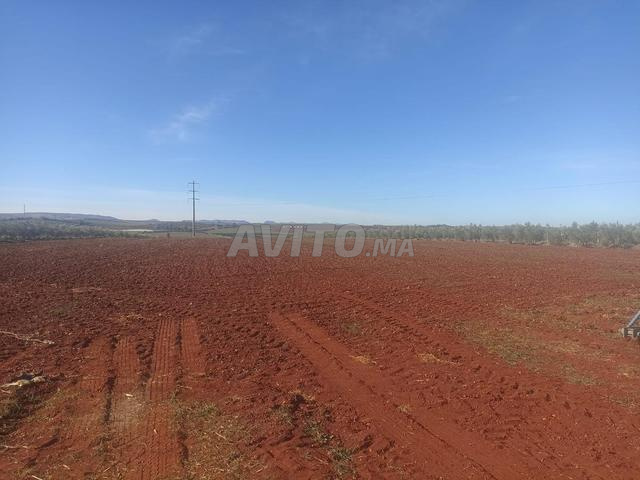 4 hectares sur route à 20 min de Meknès