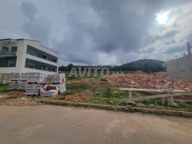 Terrain zone Villa Elmenzah - 2