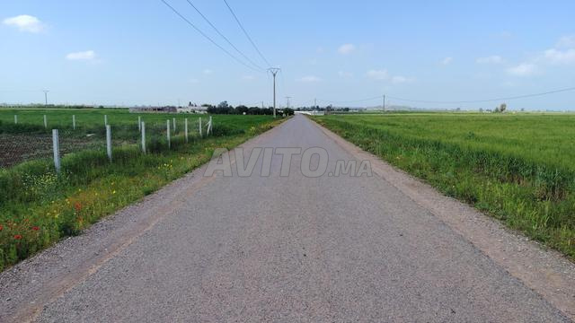 1.08 ha titré sur la route goudronnée
