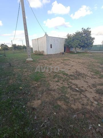 Terrain avec maison à vendre en zone rurale