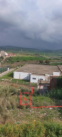 تشار العوامة حجر الصفر - 2