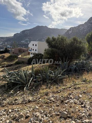 Terrain Belyounech 500m2 - 2