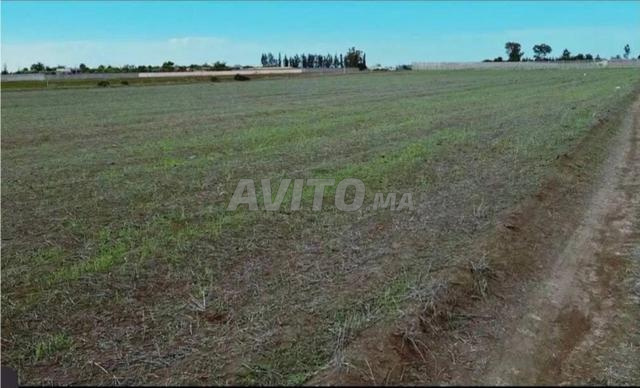 Terrain agricole à vendre - 2