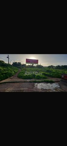 Terrain à vendre derrière KFC Dar Bouazza - 2