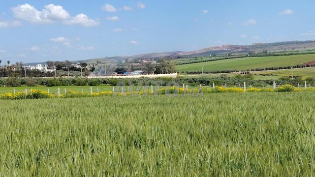 مزرعة 2.6 هكتار مع منزل - إطلالة بانورامية-