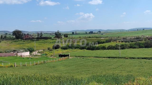 مزرعة 2.6 هكتار مع منزل - إطلالة بانورامية-