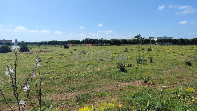 Terrain 1 Ha titré – Forme Carrée & Vue Forêt –