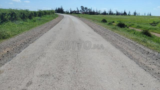 12 هكتار – سند ملكية وواجهة معبدة – بن سليمان