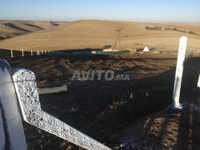 Terrain agricole à vendre - 2