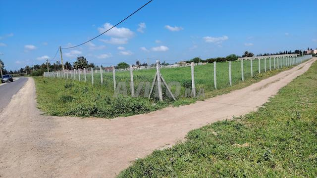 هكتار واحد – إسطبل 240 متر مربع – مدخل معبد – 8 كم من بن سليمان