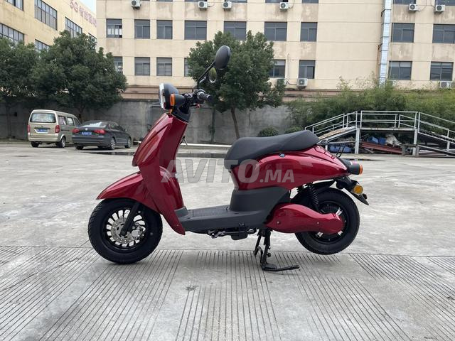 Vente lot des motos electriques en gros
