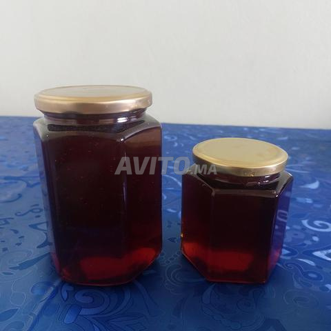 عسل الأوكالبتوس الطبيعي الحر