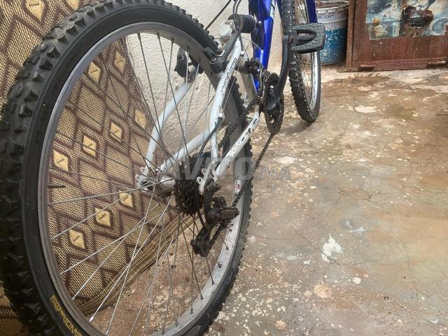 دراجة مستعملة للبيع فيلو بيكالة - 2