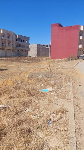 VENTE LOT R PLUS 3 152 M2 A JNAN 2 BIRAMI KENITRA