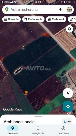 Terrain agricole à côté de l'aéroport Mohammed 5