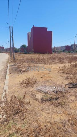 VENTE TERRAIN 90 M2 R PLUS 2 A ALLIANCE MEHDIA