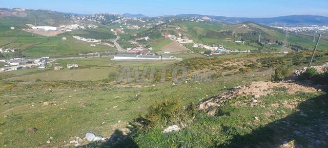 طنجة، قيسارية بولعيش - 2