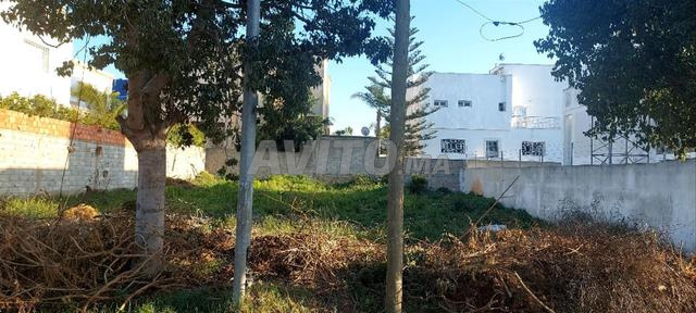 VENTE LOT TERRAIN VILLA 288 M2 A ALLIANCE MEHDIA