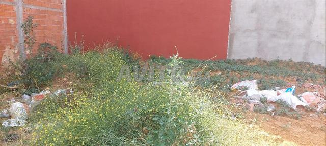 VENTE LOT TERRAIN VILLA 288 M2 A ALLIANCE MEHDIA