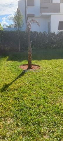 VENTE LOT TERRAIN VILLA 215 M2 A ALLIANCE MEHDIA