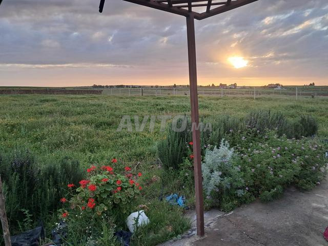 مزرعة محفظة للبيع في دوار شلوح - حد حرارة) - 2