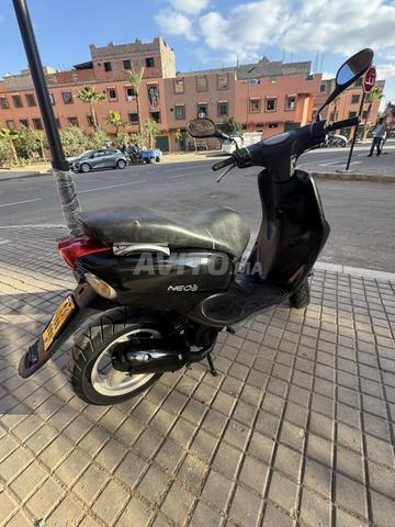 نيوس ياماها