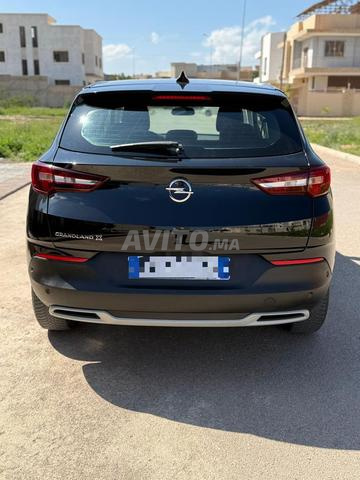 أوبل جراند لاند إكس - 2