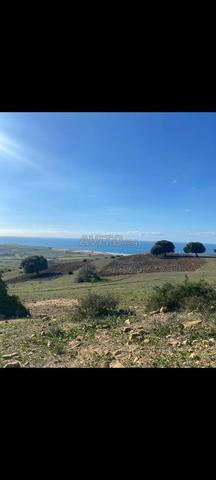 رهن ساحل الجنوبي قرب سيدي مغايت - 2