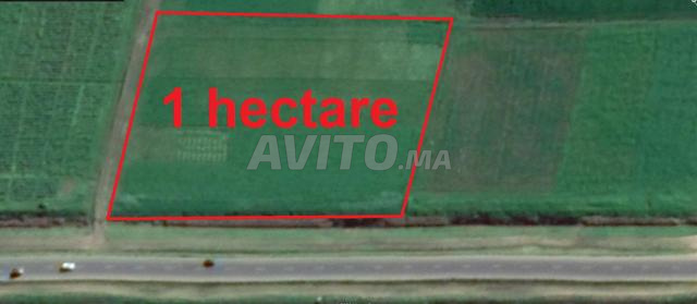 أراضي ومزارع للبيع - سيدي رحال - 2