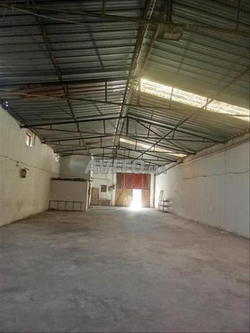 ديبو للكراء