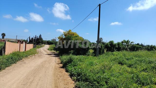 2.1 هكتار – 8 كم من بن سليمان – هدوء وسكينة