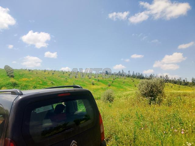 3 هكتار و 6000 متر في أيت واحي - 2