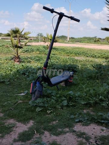 سكوتر سيكوتيك