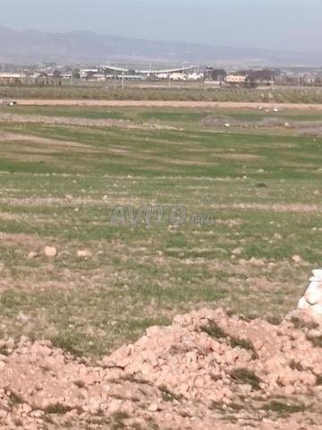 هكتار واحد قرب المطار والتكنوبول - 2