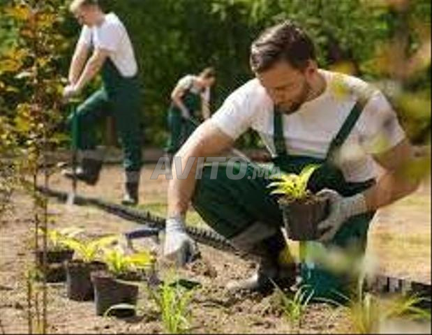 بستاني في المنزل - 2