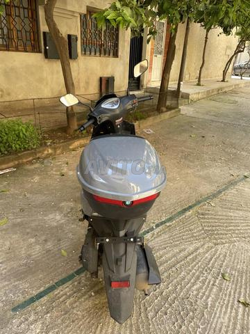 سيروكو 2025/8 - 2