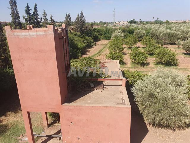 أرض بمساحة 6 هكتارات للبيع في مراكش - 2