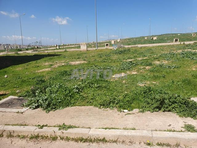 أرض للبيع بطريق سيدي حرازم بحيرة سايس - 2