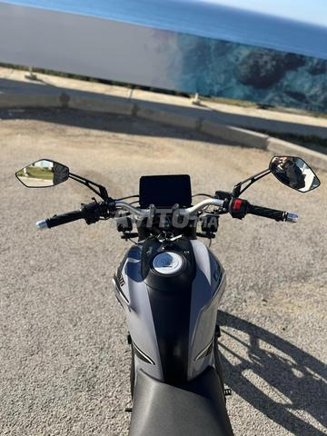 سيماتي مونستر إيفو 4 - 2