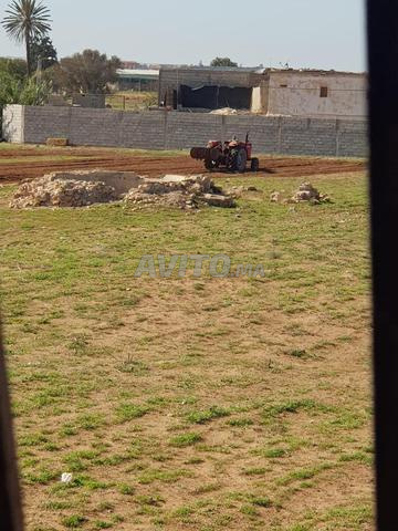 أرض للبيع في سيدي بيبي - 2