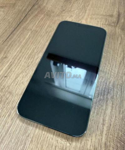 iPhone 13 Pro Max 512Go - 2