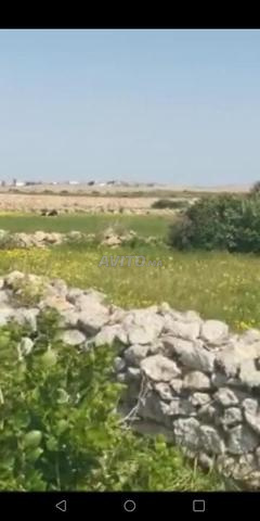 بقعة أرضية - 2