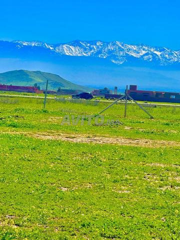 أرض 47000م² مسجلة ببوروس - 2