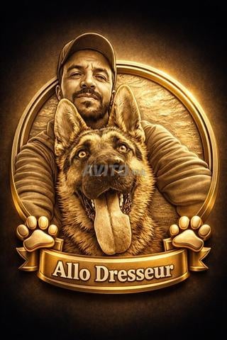 Éducateur canin à domicile