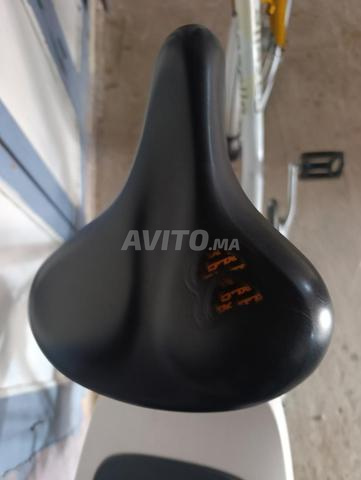 Gazelle tout neuf - 2