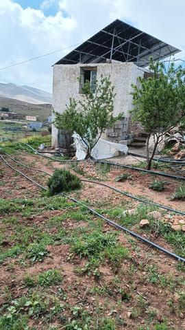 مزرعة فلاحية للبيع - 2