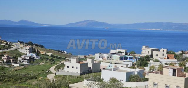 أرض محفظة صافية للبيع القصر الصغير - 2