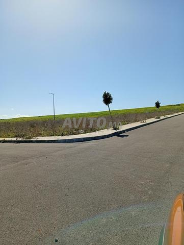 أرض للبيع - 2