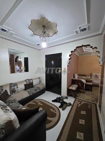 Location d'appartements - 2