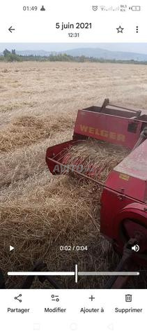 Presse Welger 63 occasion - 2